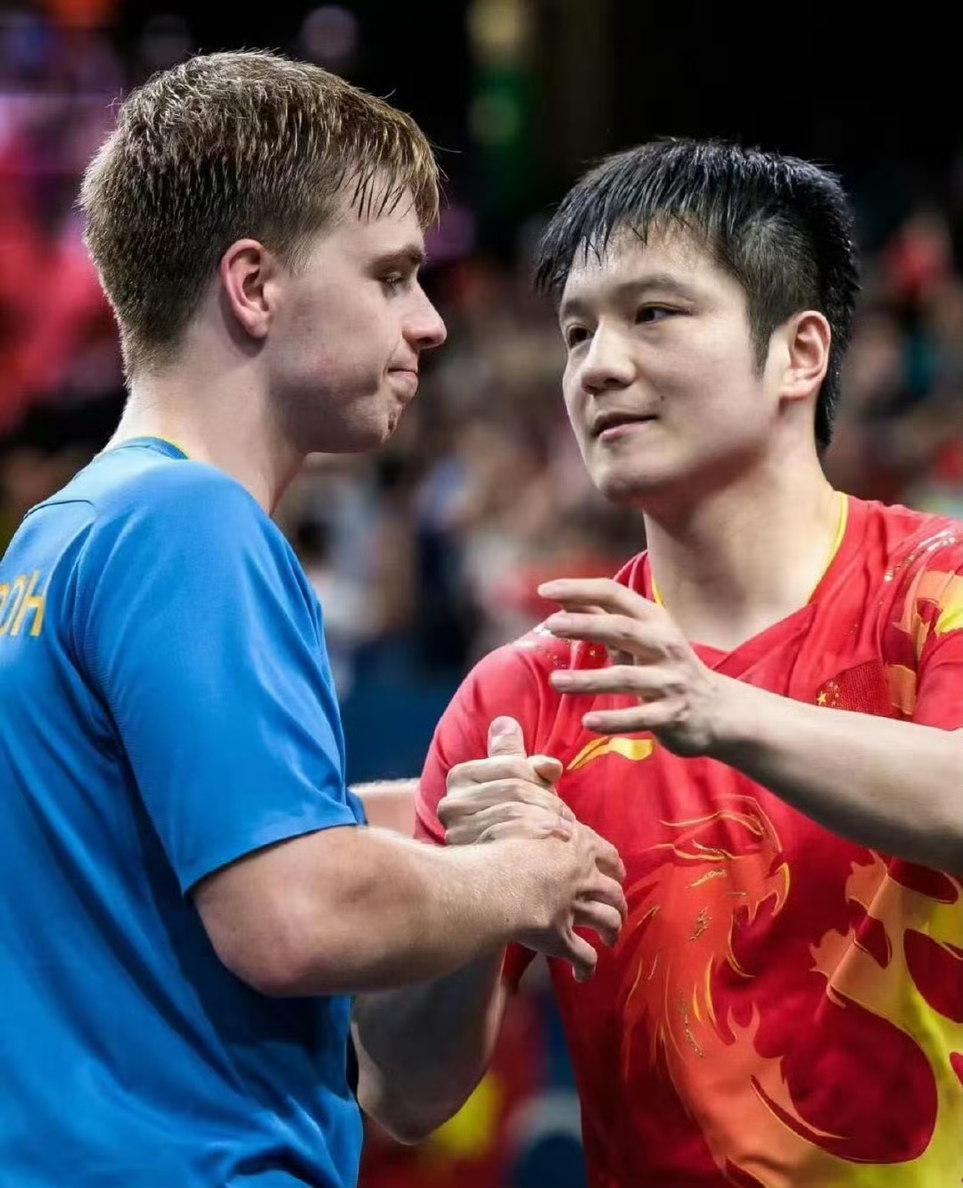 法国队逆转德国队，樊振东高光表现的简单介绍